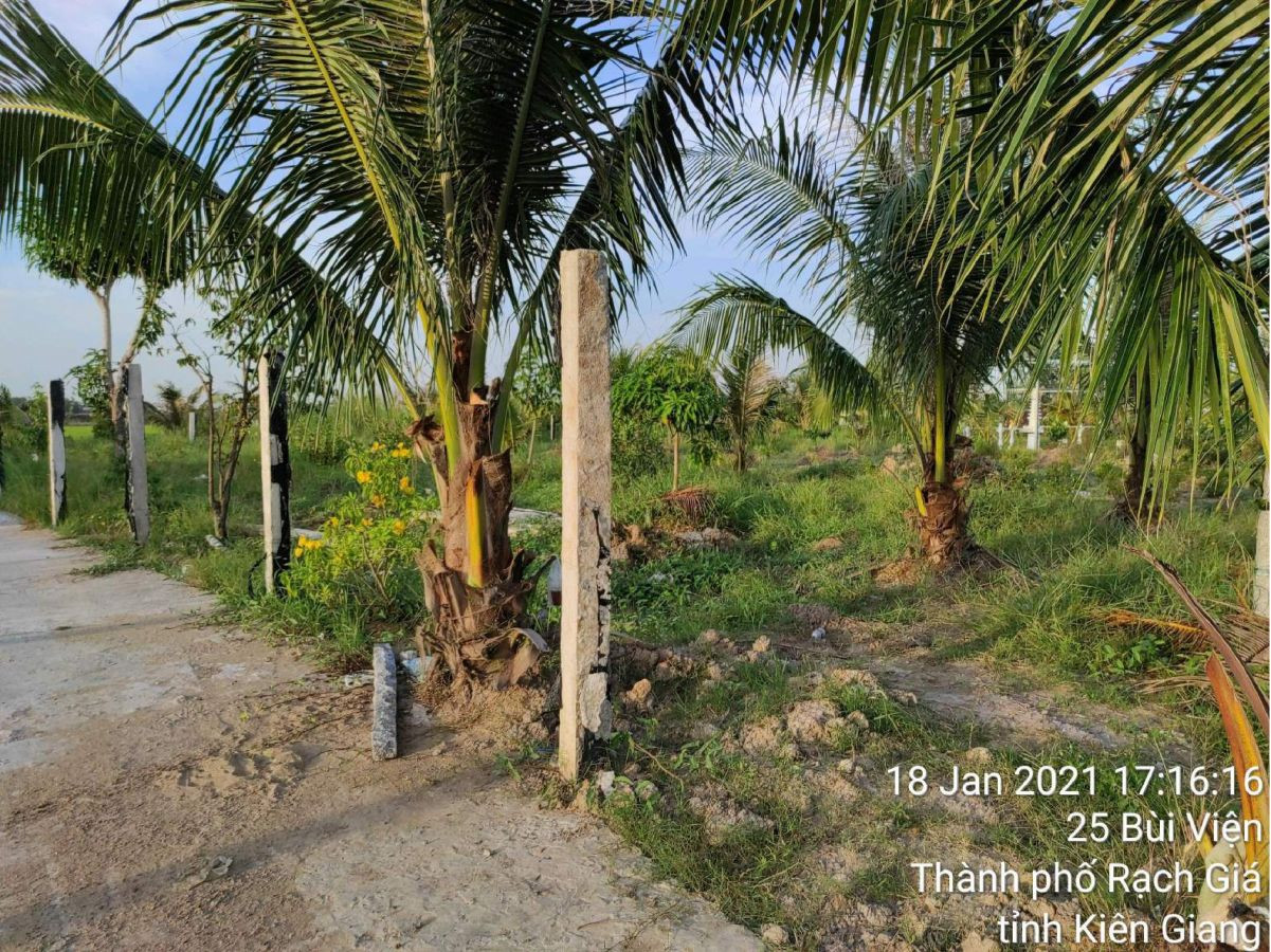 Bán đất trồng lúa 25 Bùi Viện, phường Vĩnh Lợi, TP Rạch Giá, Kiên Giang
